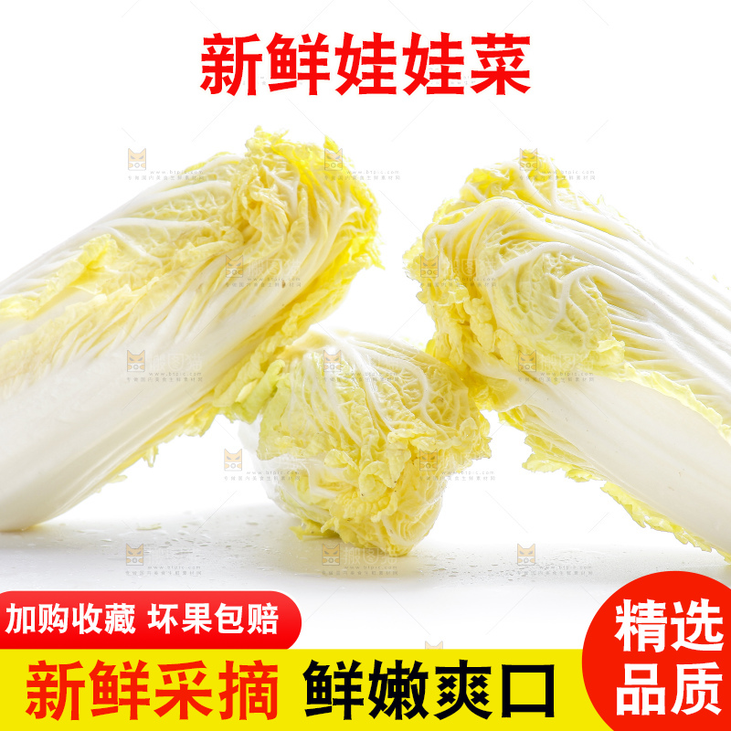 白底上的娃娃菜