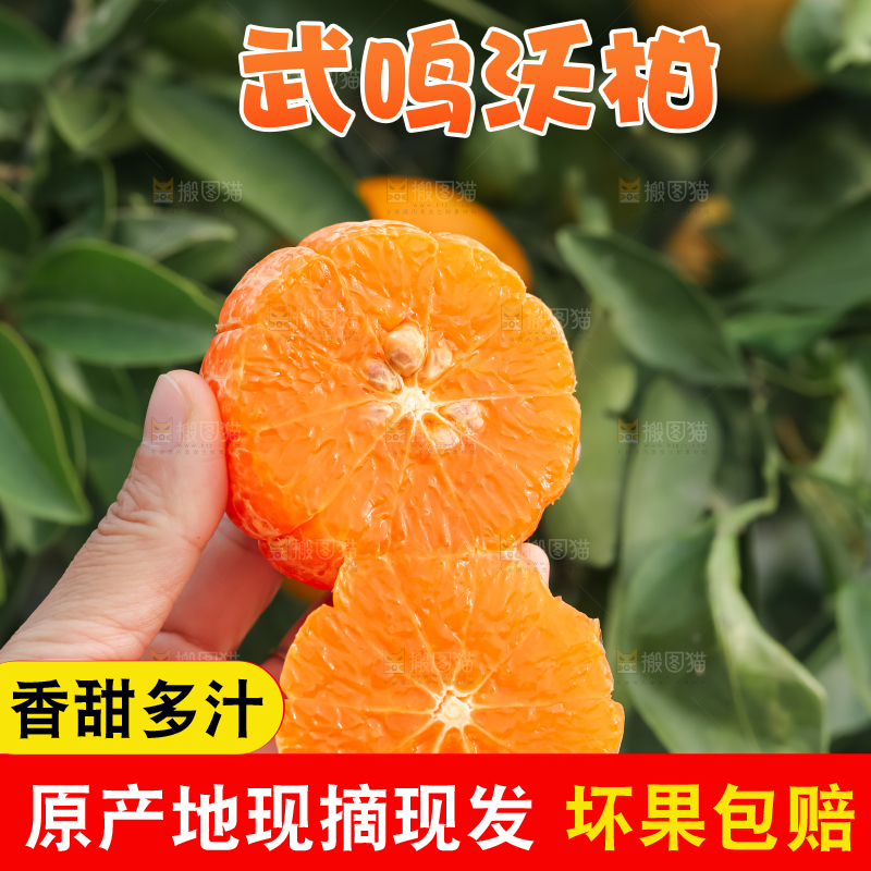 手里拿着新鲜沃柑