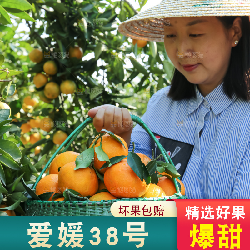 手里拿着爱媛果冻橙