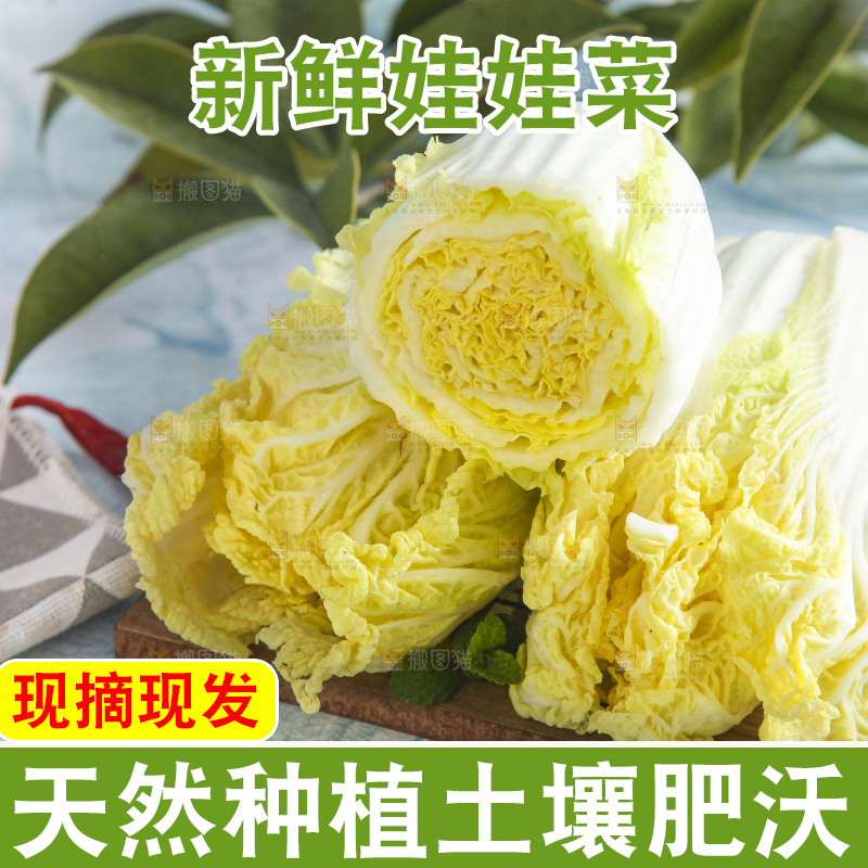浅底上的娃娃菜