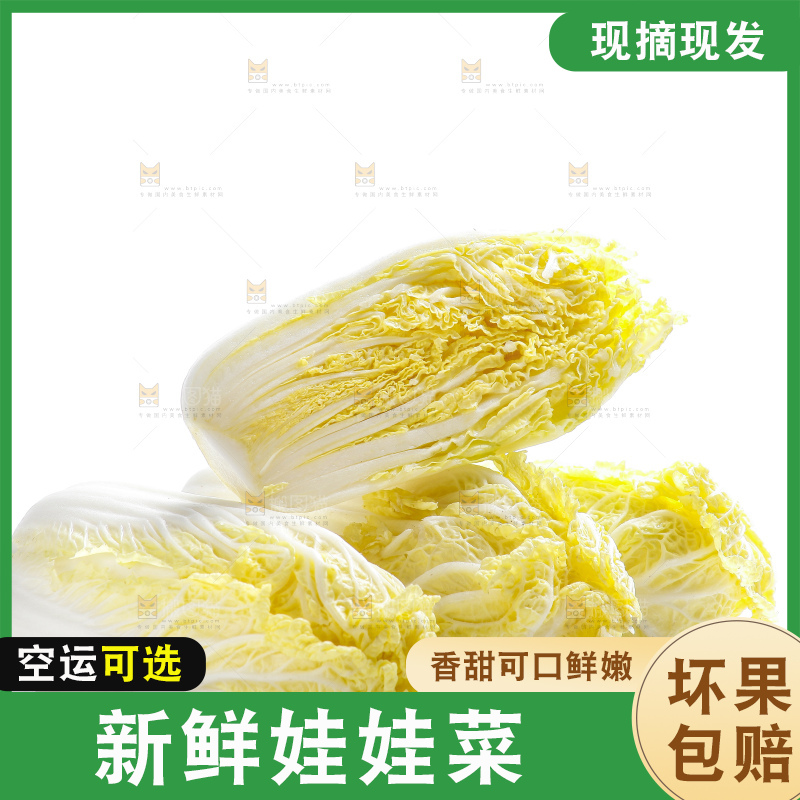 白底上的娃娃菜