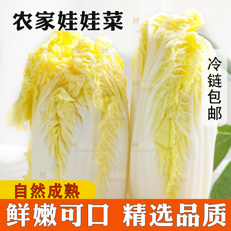 浅底上的娃娃菜