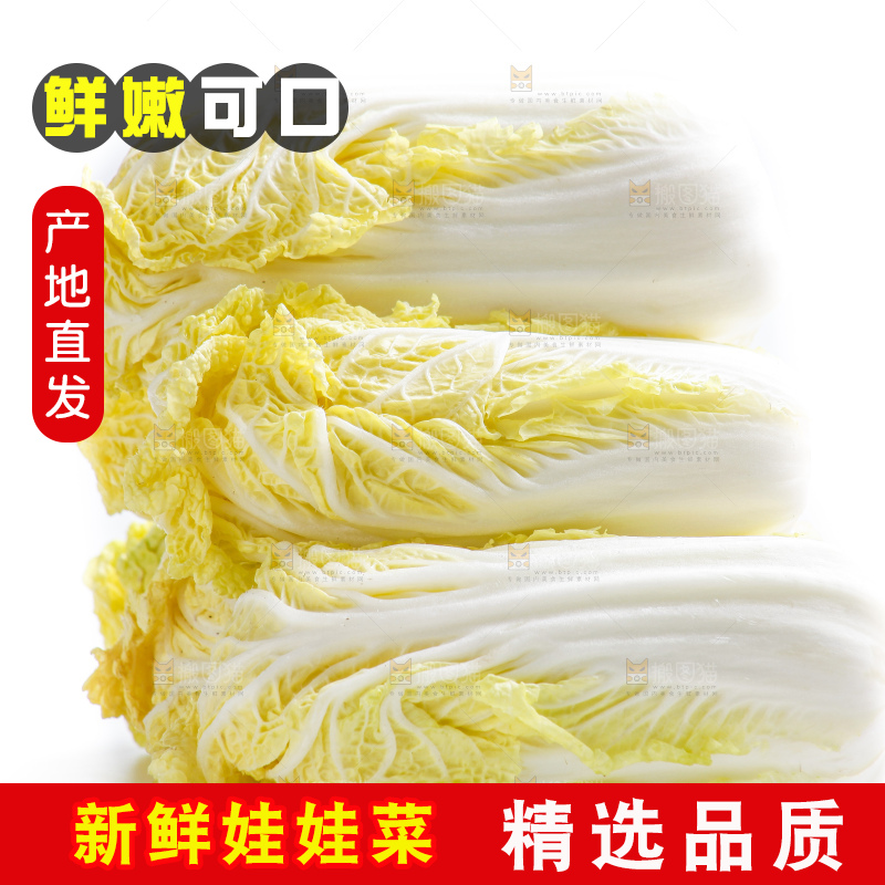 白底上的娃娃菜