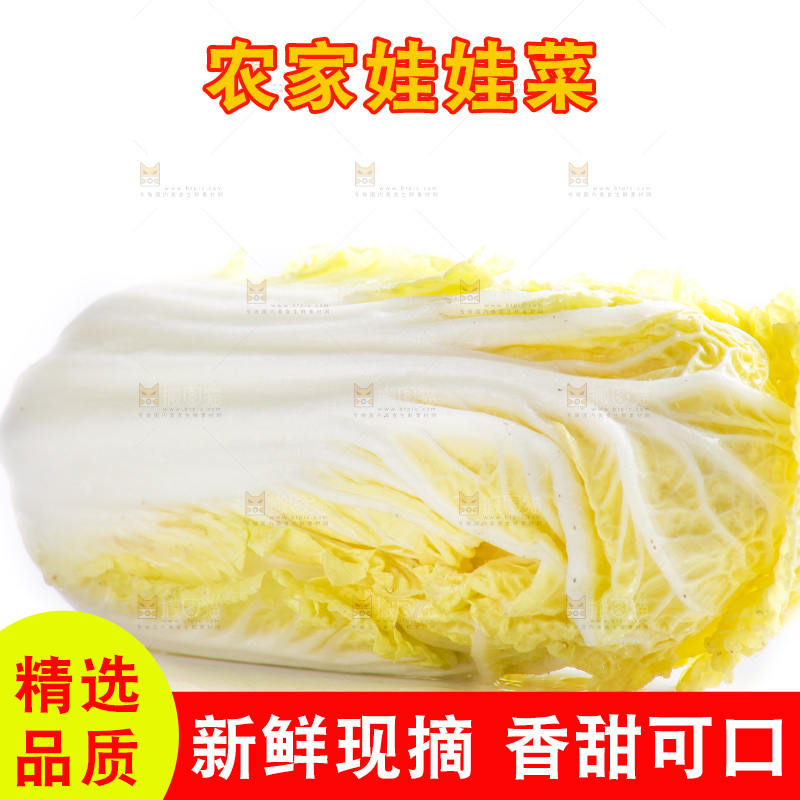 白底上的娃娃菜