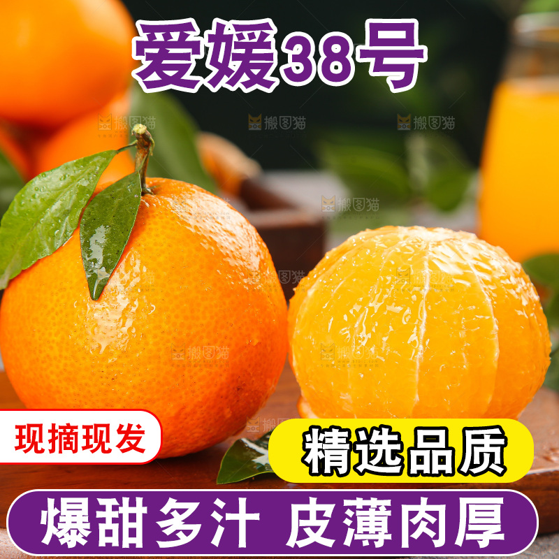 深底上的爱媛果冻橙