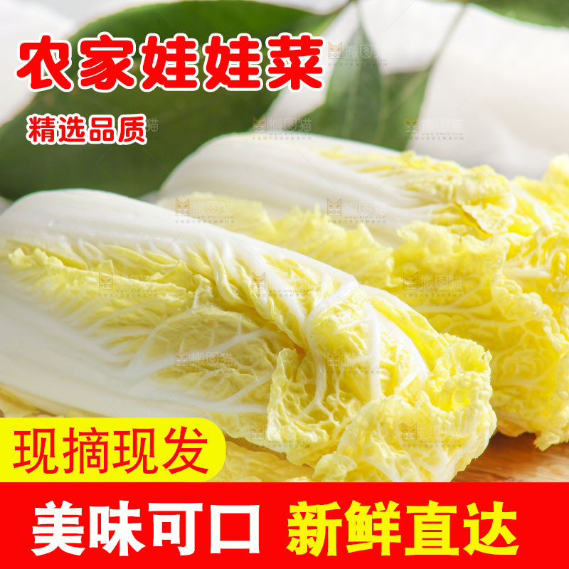 浅底上的娃娃菜