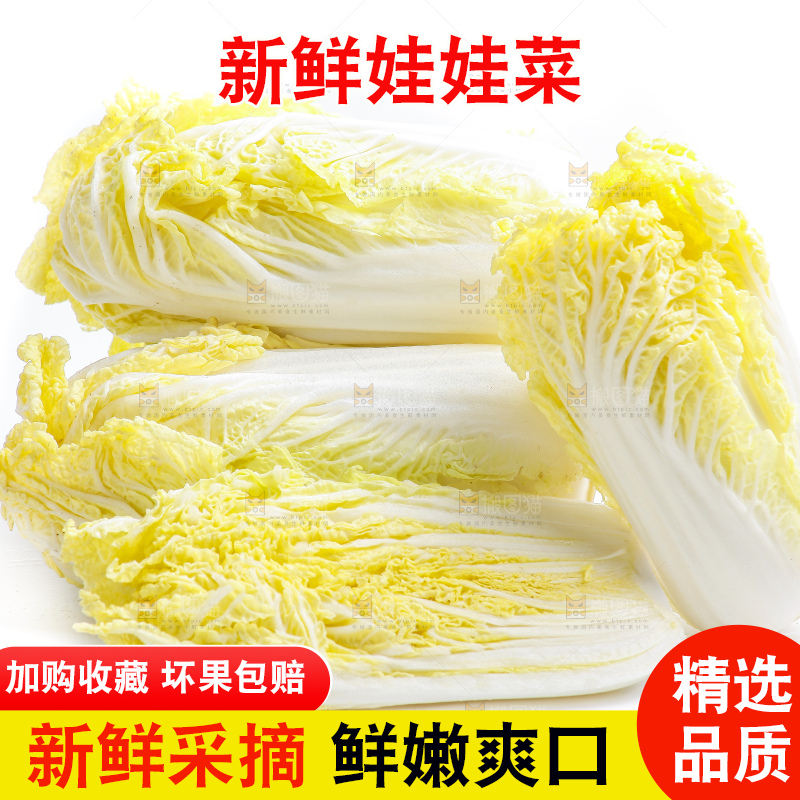 白底上的娃娃菜
