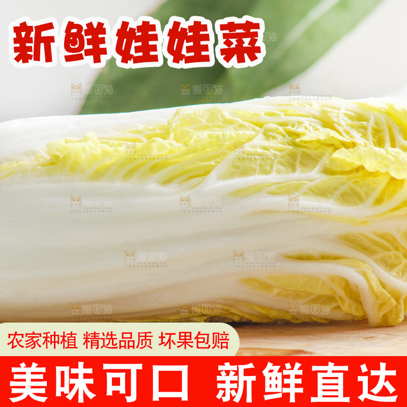 浅底上的娃娃菜
