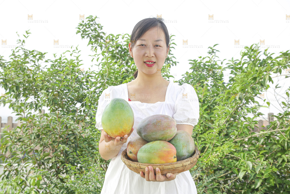 手里拿着新鲜凯特芒