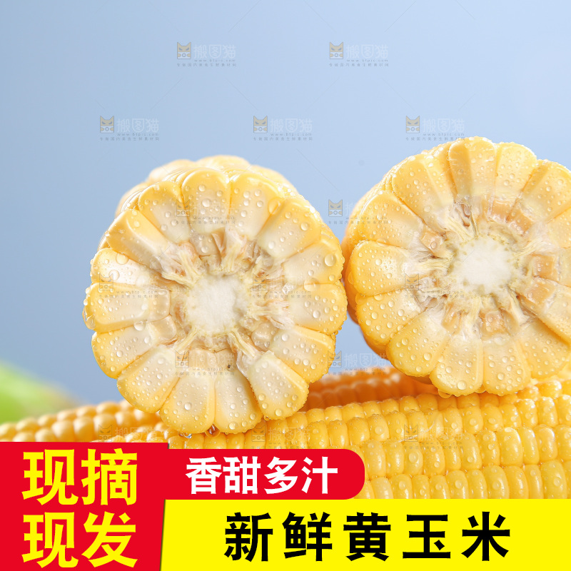 浅底上的黄玉米