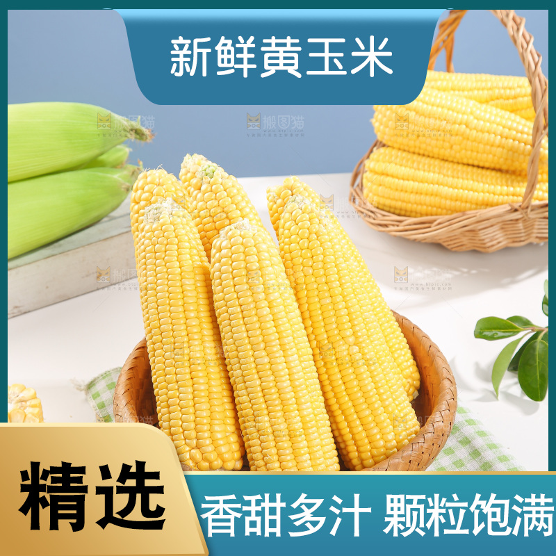 浅底上的黄玉米