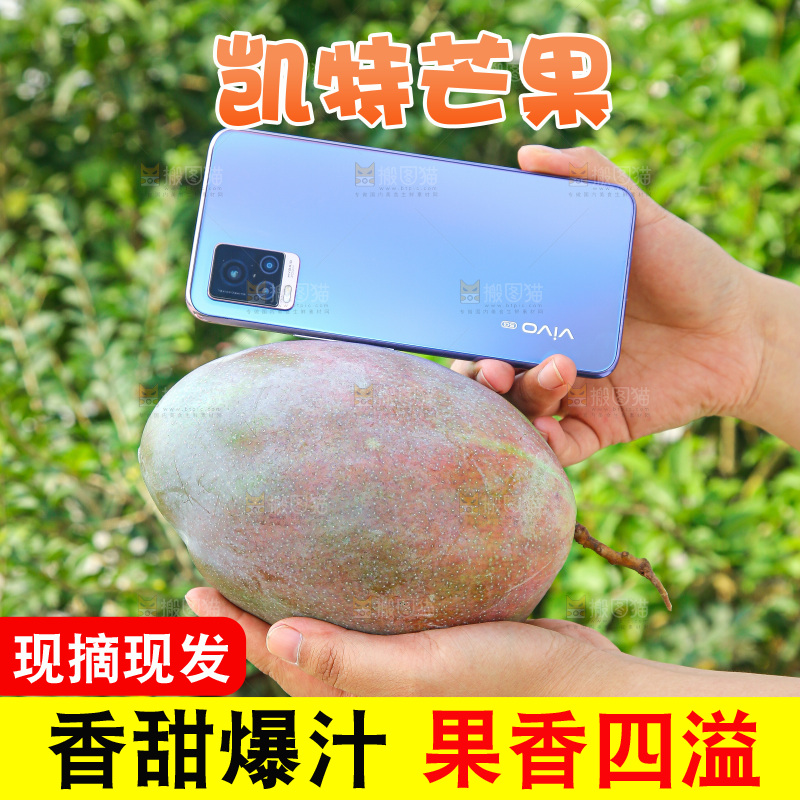 手里拿着新鲜凯特芒