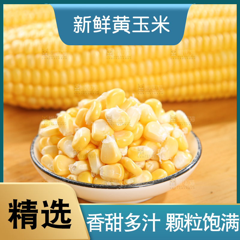 浅底上的黄玉米