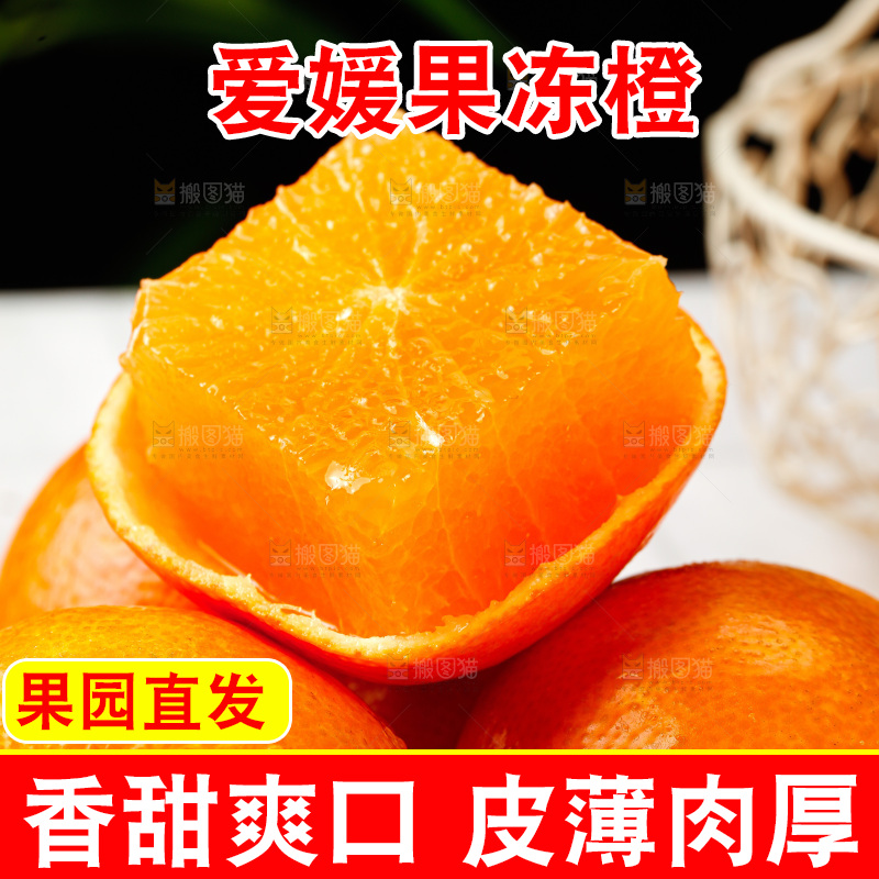 浅底上的爱媛果冻橙