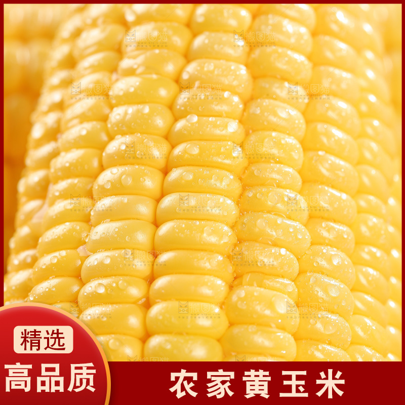 浅底上的黄玉米