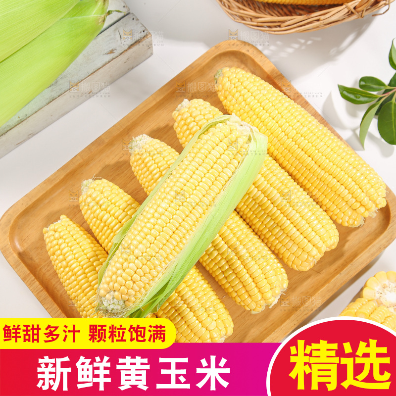 浅底上的黄玉米