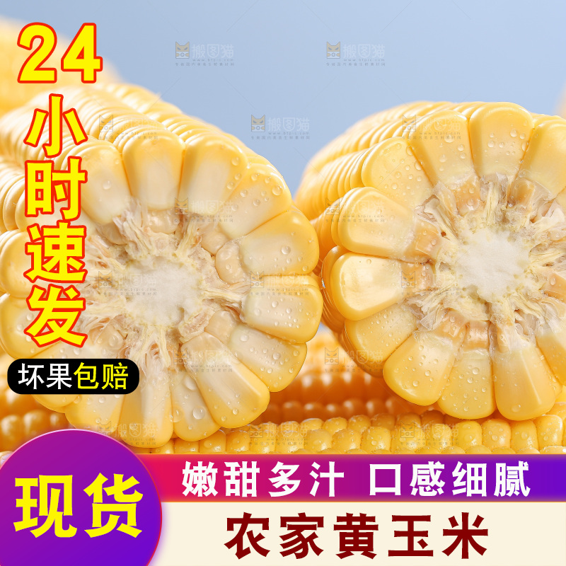 浅底上的黄玉米