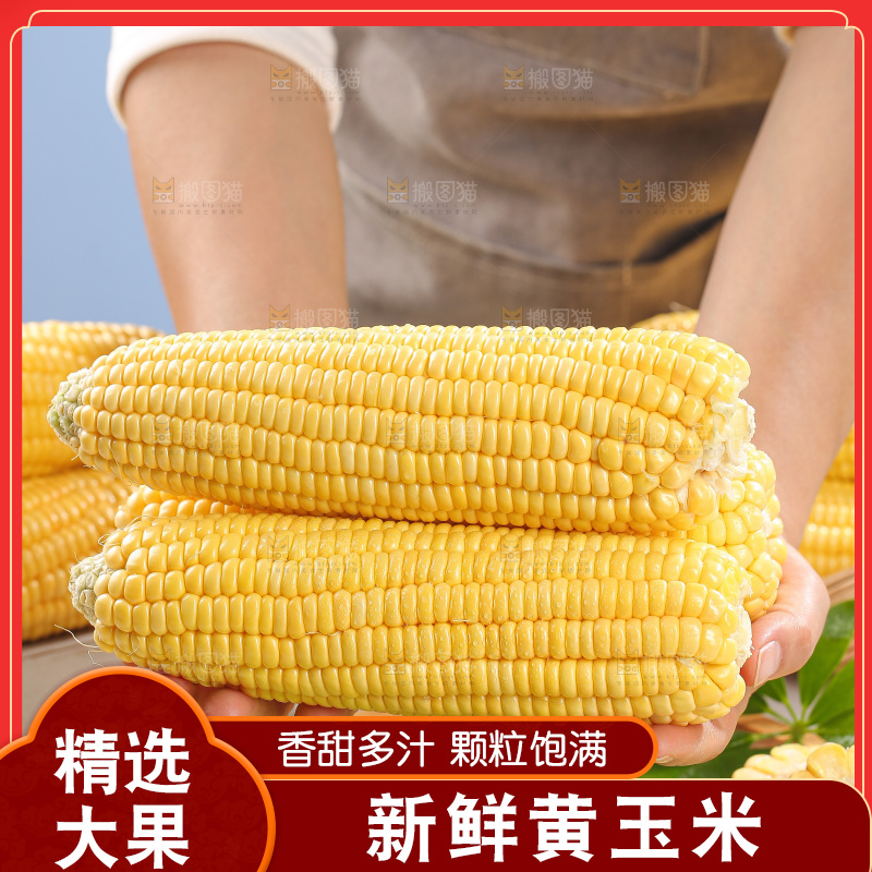 浅底上的黄玉米