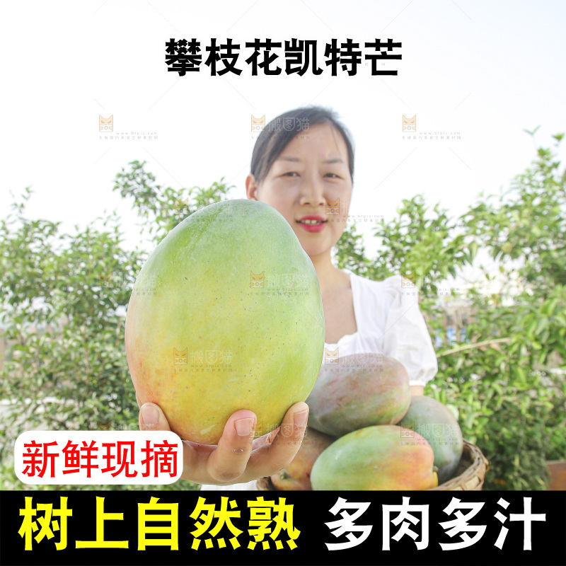 手里拿着新鲜凯特芒