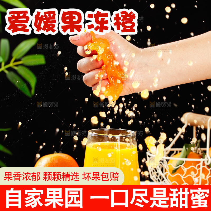 浅底上的爱媛果冻橙