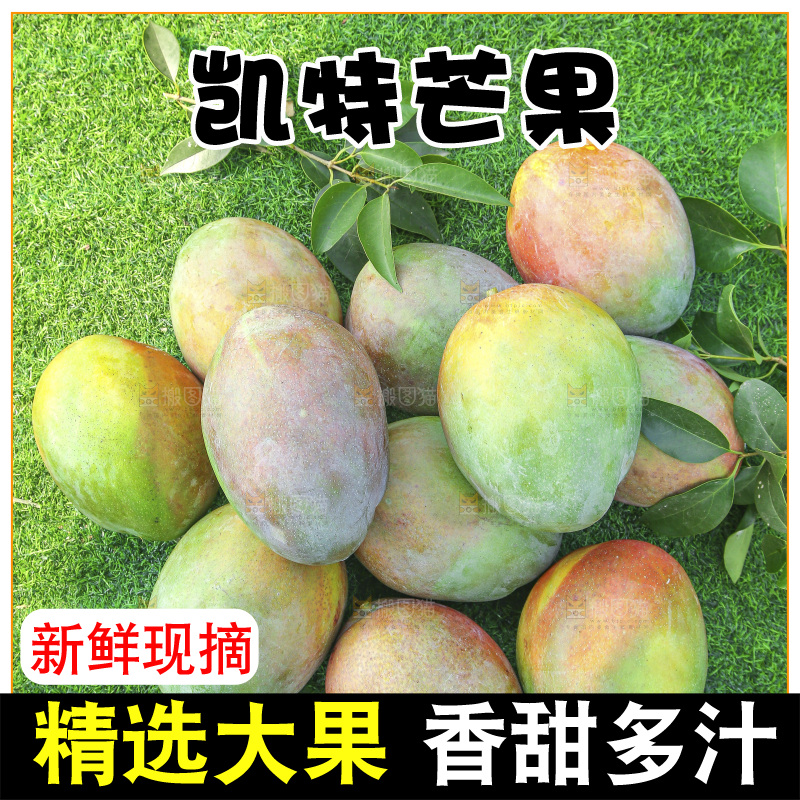 地上放着新鲜凯特芒
