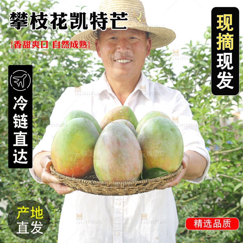 手里拿着新鲜凯特芒