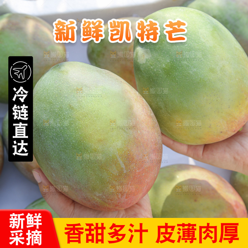 手里拿着新鲜凯特芒