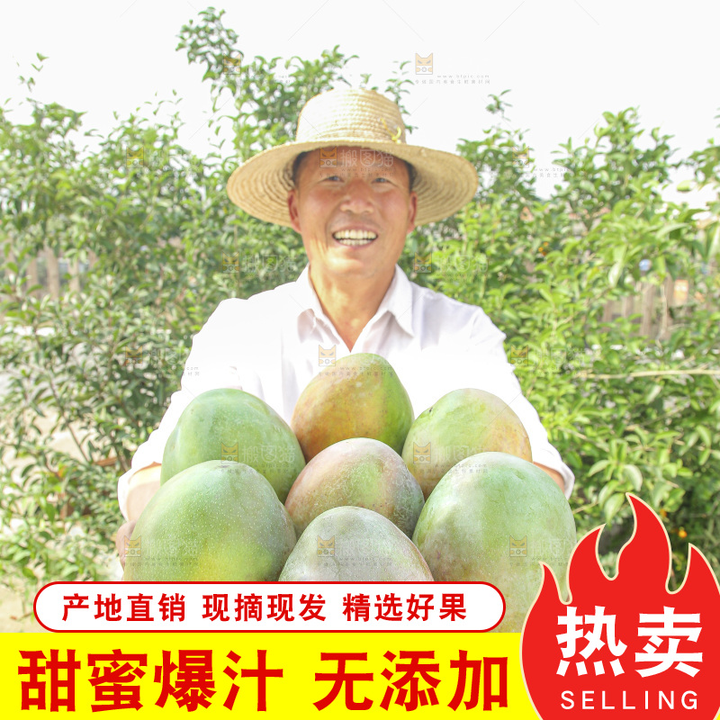 手里拿着新鲜凯特芒