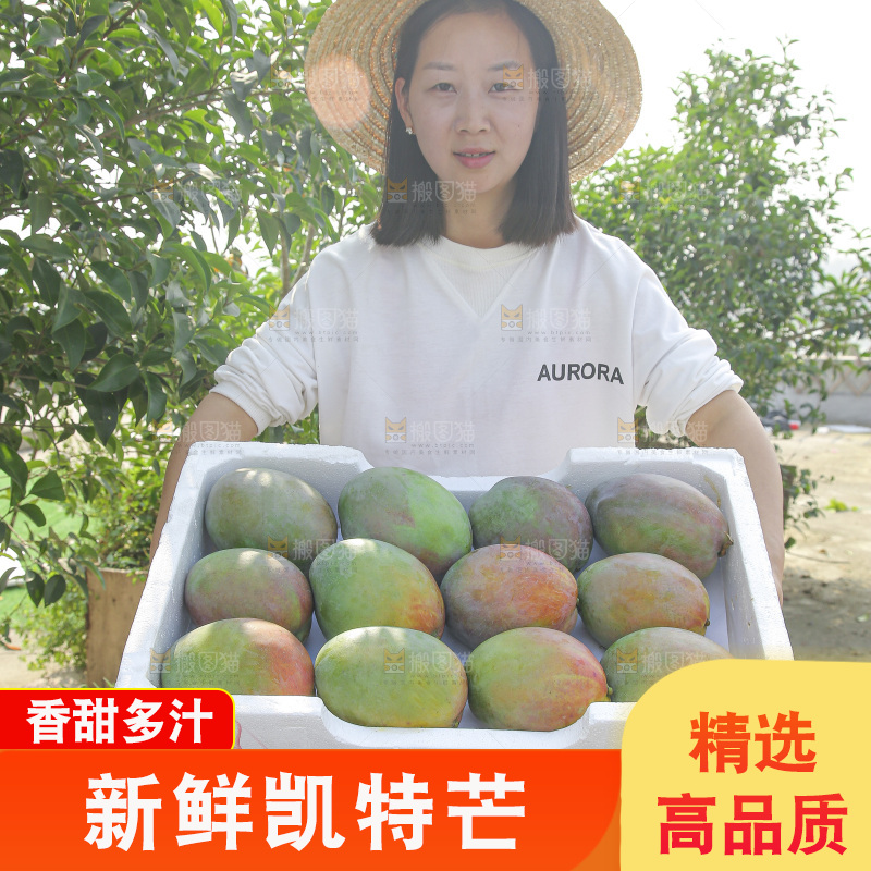 手里拿着新鲜凯特芒