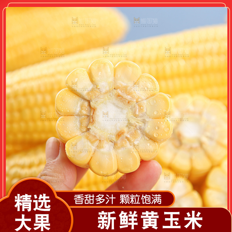 浅底上的黄玉米