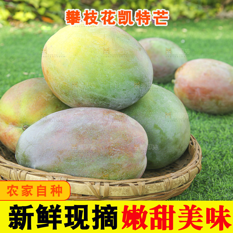 地上放着新鲜凯特芒