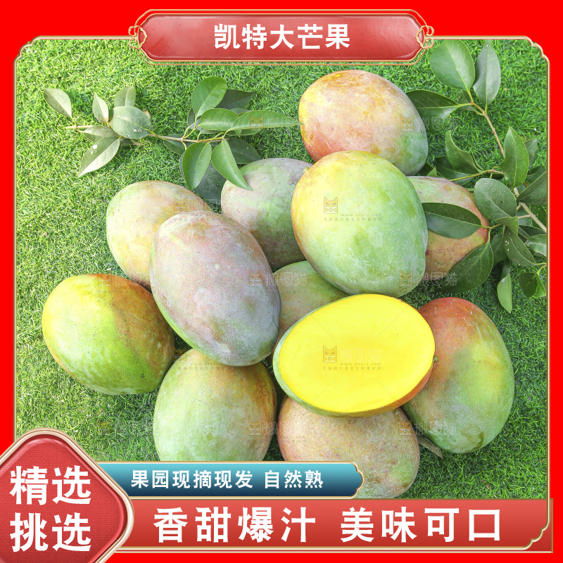 地上放着新鲜凯特芒