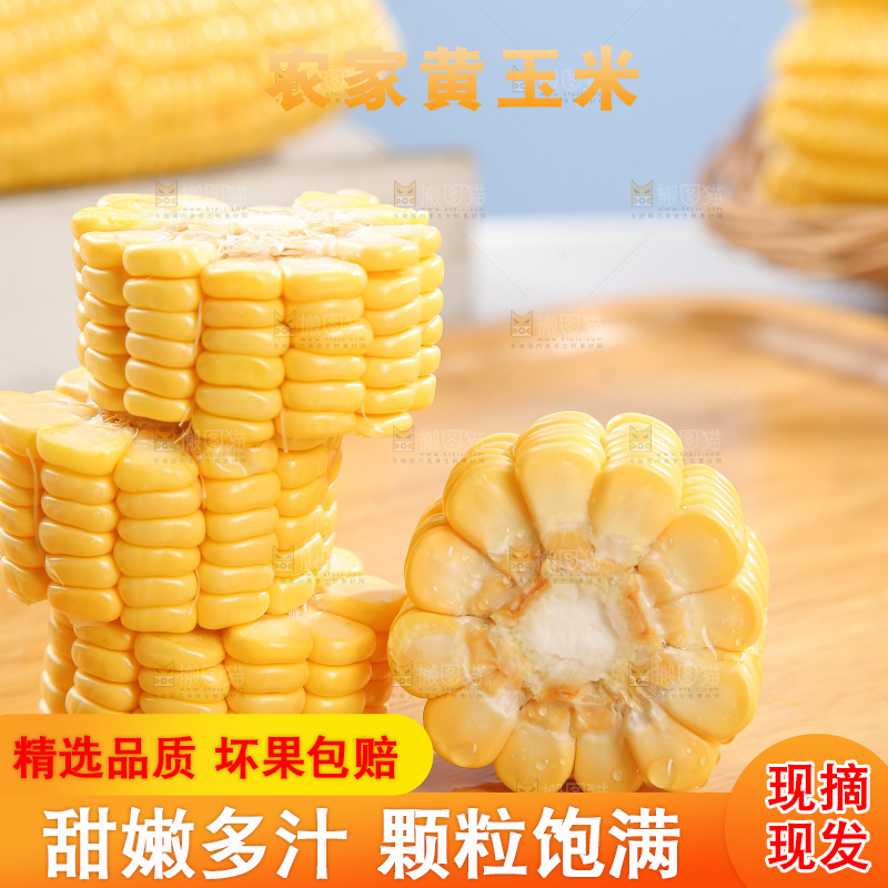 浅底上的黄玉米