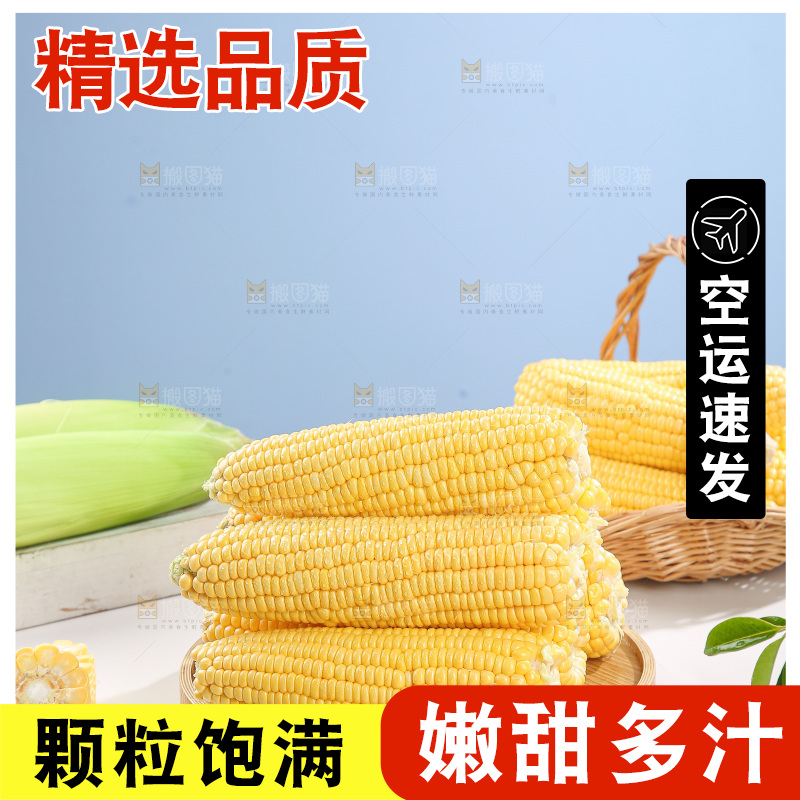 浅底上的黄玉米