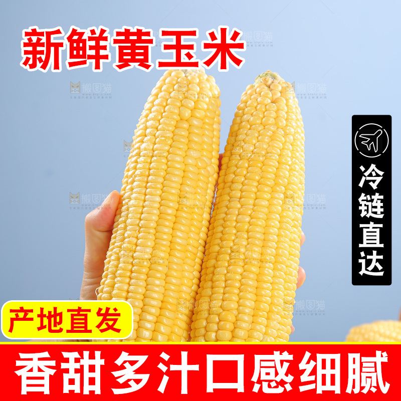 浅底上的黄玉米