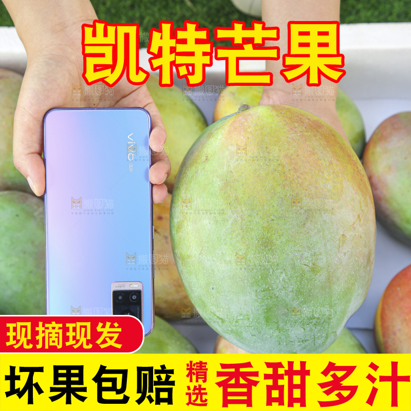 手里拿着新鲜凯特芒