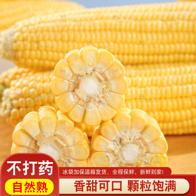 浅底上的黄玉米