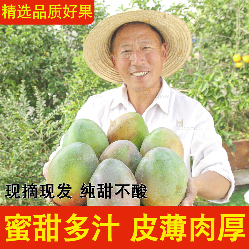 手里拿着新鲜凯特芒