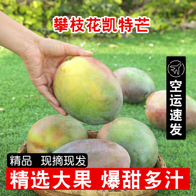 地上放着新鲜凯特芒