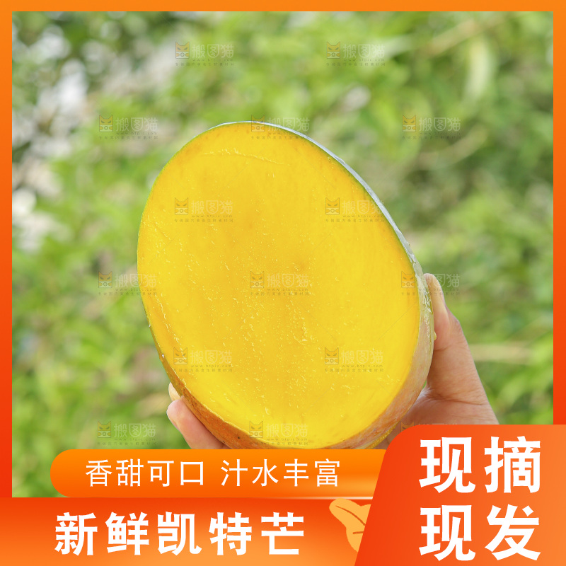 手里拿着新鲜凯特芒