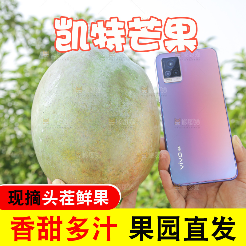 手里拿着新鲜凯特芒