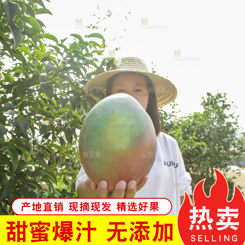 手里拿着新鲜凯特芒