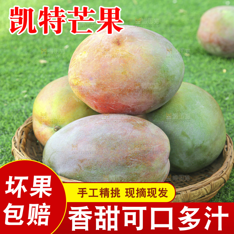 手里拿着新鲜凯特芒