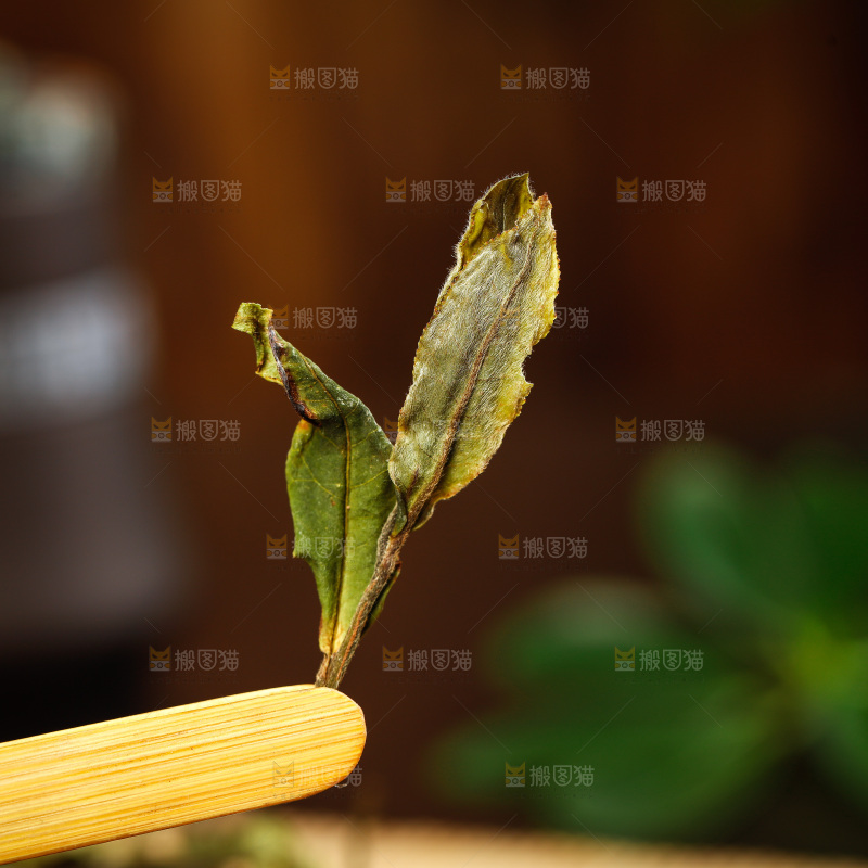 深底上的白茶