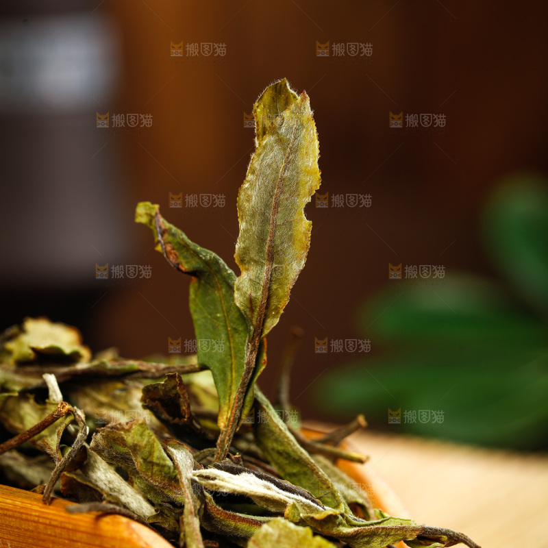 深底上的白茶