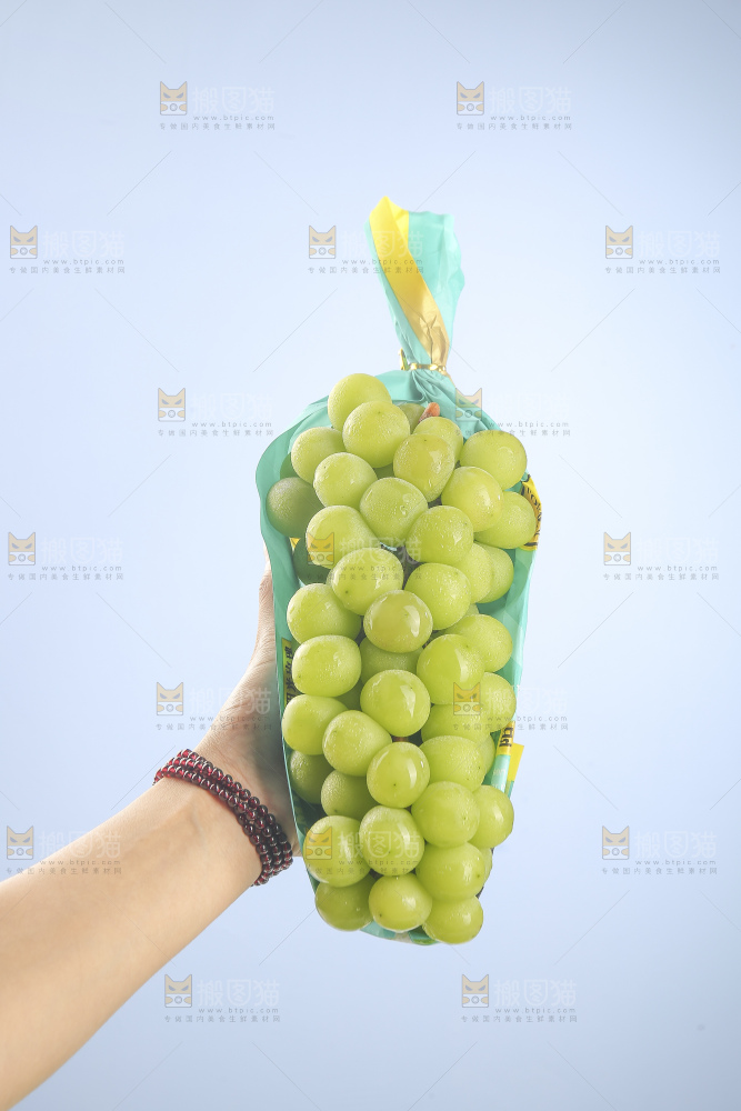 浅底上的阳光玫瑰
