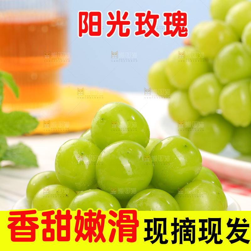 浅底上的阳光玫瑰