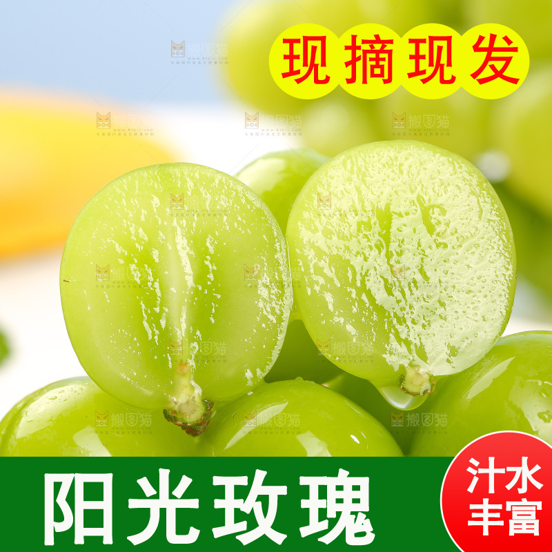 浅底上的阳光玫瑰