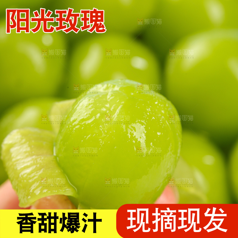 浅底上的阳光玫瑰