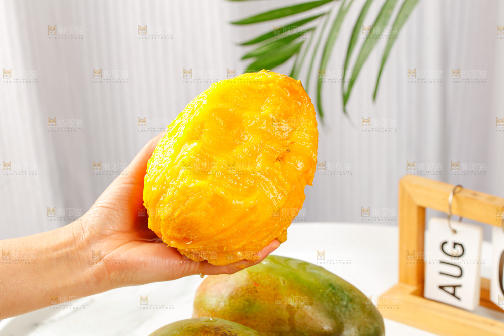浅底上的凯特芒
